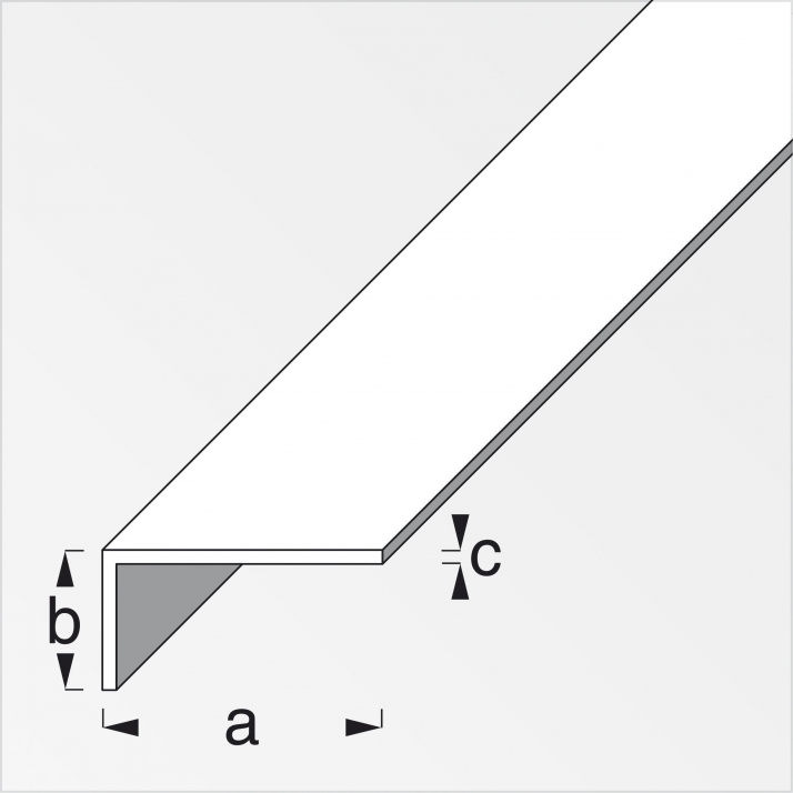 Profilo angolare lati disuguali PVC 2,5m